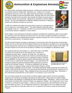 FACT SHEETS, AMNESTY, 8.5 X 11", ENGLISH Product Image 