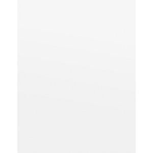 Special Buy Economy Copy Paper - White - Letter - 8 1/2" x 11" - 20 lb Basis Weight - White - (SPZEC851196) (SPZEC851196) Product Image 