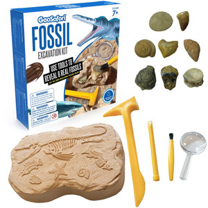 GeoSafari Fossil Excavation Kit - Theme/Subject: Fun - (EII5340) Product Image 
