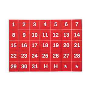 MasterVision Interchangeable Magnetic Board Accessories, Calendar Dates, Red/White, 1" x 1", 31 Pieces (BVCFM1209) View Product Image