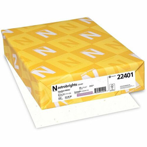 Astrobrights Colored Cardstock - Stardust White - Letter - 8 1/2" x 11" - 65 lb Basis Weight - Smooth Product Image 