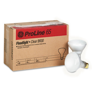 GE Incandescent Soft White BR30 Light Bulb, 65 W, 6/Carton (GEL24705) View Product Image