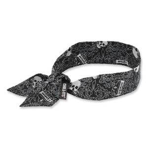 Ergodyne 6700 Cooling Bandana - EGO12329 Product Image 