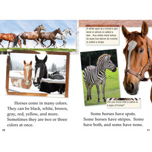 Shell Education Learn-At-Home Summer Science Set Printed Book by Wendy Conklin - 212 Pages - (SHL51679) Product Image 