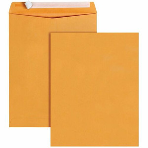 Business Source Kraft Peel-and-Stick Catalog Envelopes - BSN40099 Product Image 