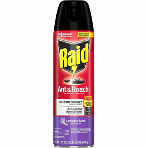 Raid Ant & Roach Killer Spray - SJN386221CT Product Image 