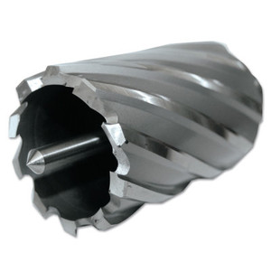 CYCLONE CUTTER 13/16"X2" - 510-CC812L Product Image 