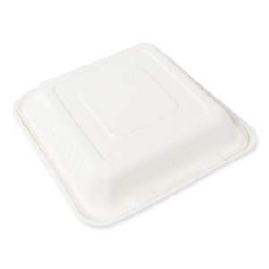 AmerCareRoyal Bagasse PFAS-Free Food Containers, 1-Compartment, 9 x 9 x 3.19, White, Bamboo/Sugarcane, 200/Carton (RPPHL91NPFA) Product Image 