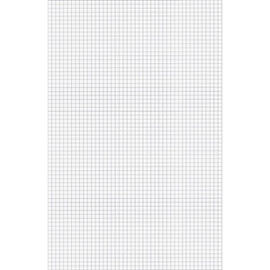 Ampad Graph Pad - 50 Sheets - Both Side Ruling Surface - 15 lb Basis Weight - Tabloid - 11" x 17" Sheet Size Product Image 
