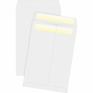 Business Source Press/Seal Catalog Envelopes - Catalog - 6" Width x 9" Length - 28 lb - Self-sealing - White Product Image 