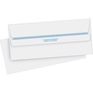 Business Source Regular Security Invoice Envelopes (BSN04645) View Product Image