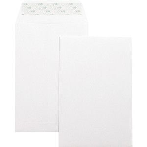 Business Source Self-Seal 6"x9" Catalog Envelopes (BSN42122) View Product Image