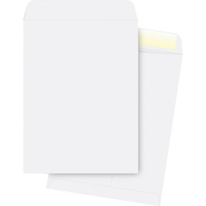Business Source 28 lb. White Catalog Envelopes (BSN42103) View Product Image