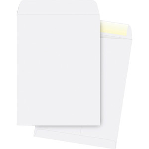Business Source 28 lb. White Catalog Envelopes (BSN42103) Product Image