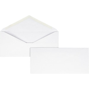 Business Source No. 10 V-Flap Envelopes (BSN99715) View Product Image