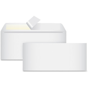 Business Source Peel-To-Seal Envelopes, No. 10, 100/BX, White (BSN99713) View Product Image