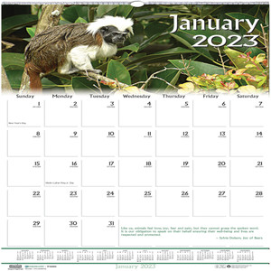 House Of Doolittle Wall Calendar, Wildlife Scenes, 12-Mth, Jan-Dec, 12"x12" (HOD3731) View Product Image