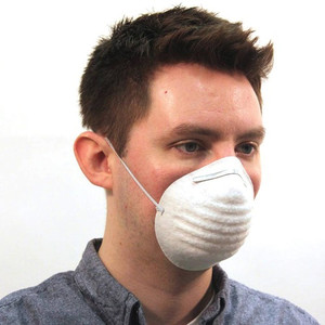 ProGuard Disposable Nontoxic Dust Mask (PGD7300BCT) View Product Image