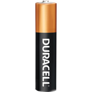 Duracell Power Boost Coppertop Alkaline Aa Batteries, 10/Pack (DURMN1500B10Z) View Product Image