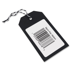 Avery; Shipping Label (AVE4132) View Product Image
