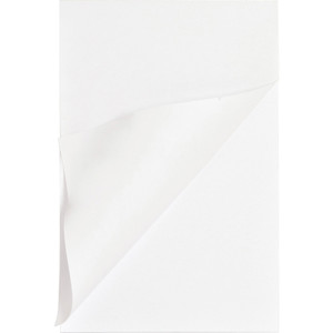 Business Source Plain Memo Pads (BSN65901CT) View Product Image