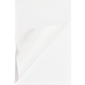 Business Source Plain Memo Pads (BSN65901CT) View Product Image