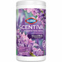 Clorox Scentiva Bleach-Free Cleaning Wipes - Lavender & Jasmine Scent - Bleach-free, Disinfectant, Long Lasting, Deodorize, Odor Neutralizer - White - 75 Tub Product Image 