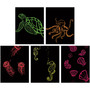 Creativity Street Now You See It! Etch Fluorscnt Brd (PAC4622) View Product Image
