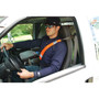 ergodyne GloWear 8004 Hi-Vis Seat Belt Cover, 6" x 18.5", Orange, Ships in 1-3 Business Days (EGO29041) View Product Image