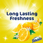 Fabuloso Multi-Purpose Cleaner View Product Image