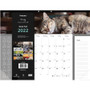Blueline Pets Collection Monthly Desk Pad, Furry Kittens Photography, 22 x 17, White Sheets, Black Binding, 12-Month (Jan-Dec): 2024 View Product Image
