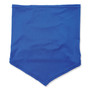 ergodyne Chill-Its 6483 Cooling Neck Gaiter Bandana Pocket, Polyester/Spandex, Large/X-Large, Blue View Product Image