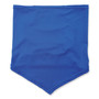 ergodyne Chill-Its 6483 Cooling Neck Gaiter Bandana Pocket, Polyester/Spandex, Large/X-Large, Blue View Product Image