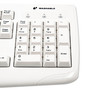 Kensington Pro Fit USB Washable Keyboard, 104 Keys, White (KMW64406) View Product Image