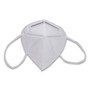 GN1 KN95 Mask, White, 10/Pack View Product Image
