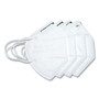 GN1 KN95 Mask, White, 10/Pack View Product Image