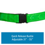 Visibelt, High Visibilty, Reflective Belt View Product Image