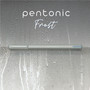 Pentonic Frosted Barrel Ballpoint Pens - 0.7 mm Fine Pen Point - (PNTPEN13086) Product Image 