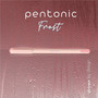 Pentonic Frosted Barrel Ballpoint Pens - 0.7 mm Fine Pen Point - (PNTPEN13087) Product Image 