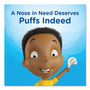 Puffs White Facial Tissue, 2-Ply, White, 180 Sheets/Box, 3 Boxes/Pack (PGC87615PK) View Product Image