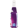 LYSOL Brand Mold and Mildew Remover with Bleach, 32 oz Spray Bottle, 12/Carton View Product Image
