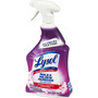 LYSOL Brand Mold and Mildew Remover with Bleach, 32 oz Spray Bottle, 12/Carton View Product Image