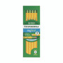 Dixon Ticonderoga Beginners Woodcase Pencil with Eraser and Microban Protection, HB (#2), Black Lead, Yellow Barrel, Dozen View Product Image
