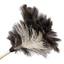 Boardwalk Professional Ostrich Feather Duster, 13" Wood Handle View Product Image