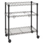 Alera Two-Tier File Cart for Front-to-Back + Side-to-Side Filing, Metal, 1 Shelf, 3 Bins, 26" x 14" x 29.5", Black (ALEFW601426BL) View Product Image