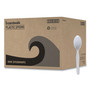 Boardwalk Mediumweight Polystyrene Cutlery, Spoon, Plastic, White, 100/Box, 10 Boxes/Carton View Product Image