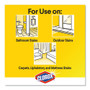 CloroxPro Urine Remover for Stains and Odors, 32 oz Pull top Bottle View Product Image