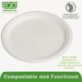 Eco-Products Renewable Sugarcane Plates, 10" dia, Natural White, 500/Carton (ECOEPP005) View Product Image