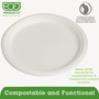 Eco-Products Renewable Sugarcane Plates, 10" dia, Natural White, 500/Carton (ECOEPP005) View Product Image