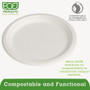 Eco-Products Renewable Sugarcane Plates, 9" dia, Natural White, 50/Packs (ECOEPP013PK) View Product Image
